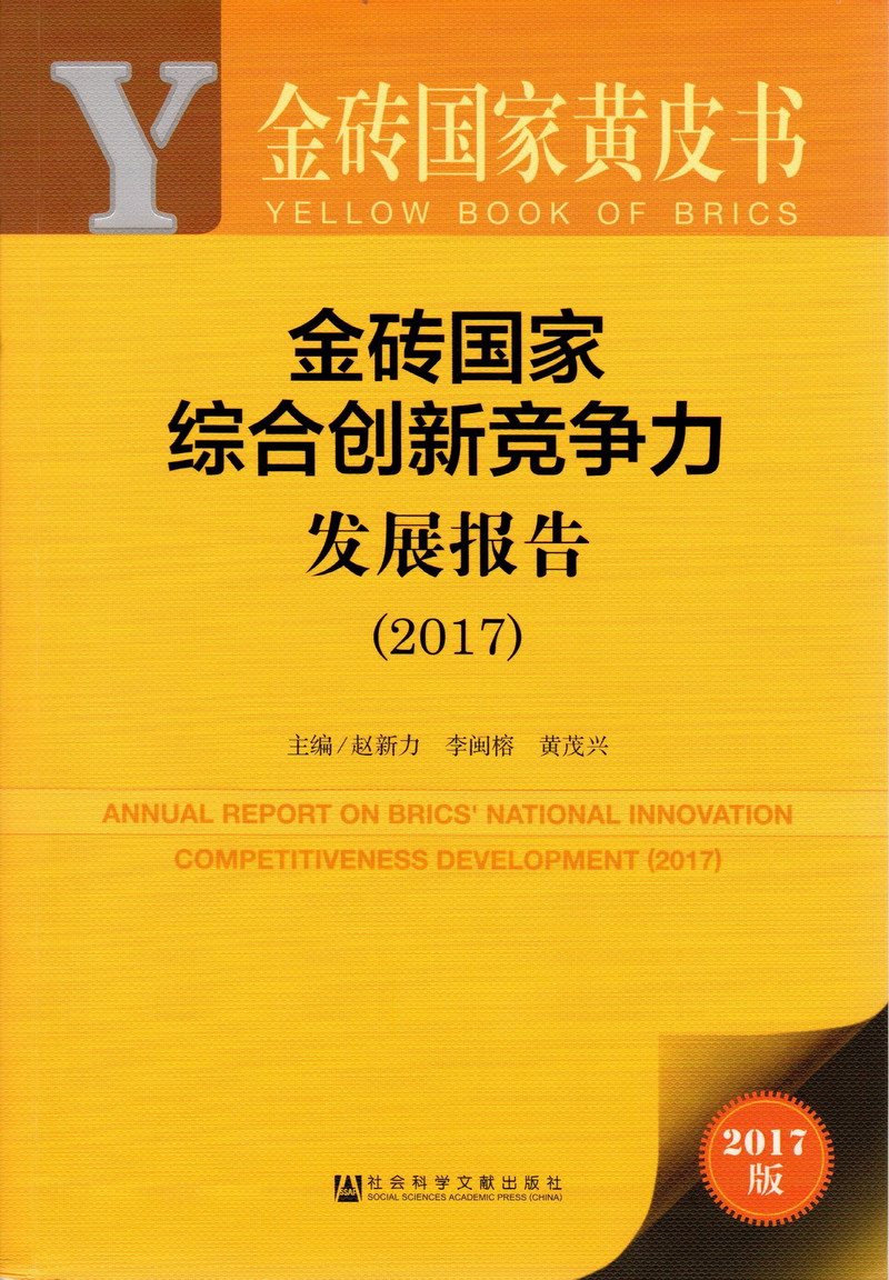 男人的坤搓进女人的腿里金砖国家综合创新竞争力发展报告（2017）